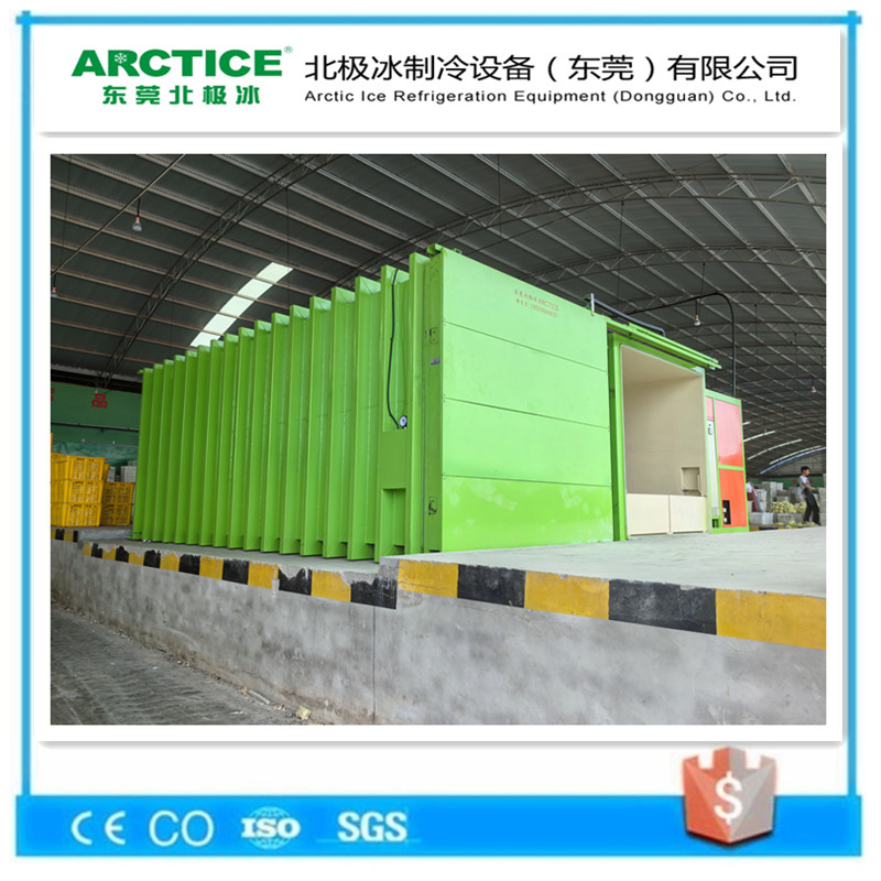 菜籃子蔬菜真空預(yù)保鮮設(shè)備18卡板處理量9000公斤型果蔬真空預(yù)冷機